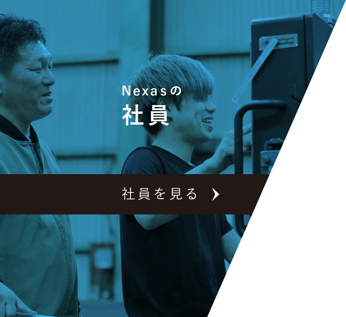 Nexasの社員